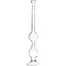 Specific Gravity Flask (Chapman)